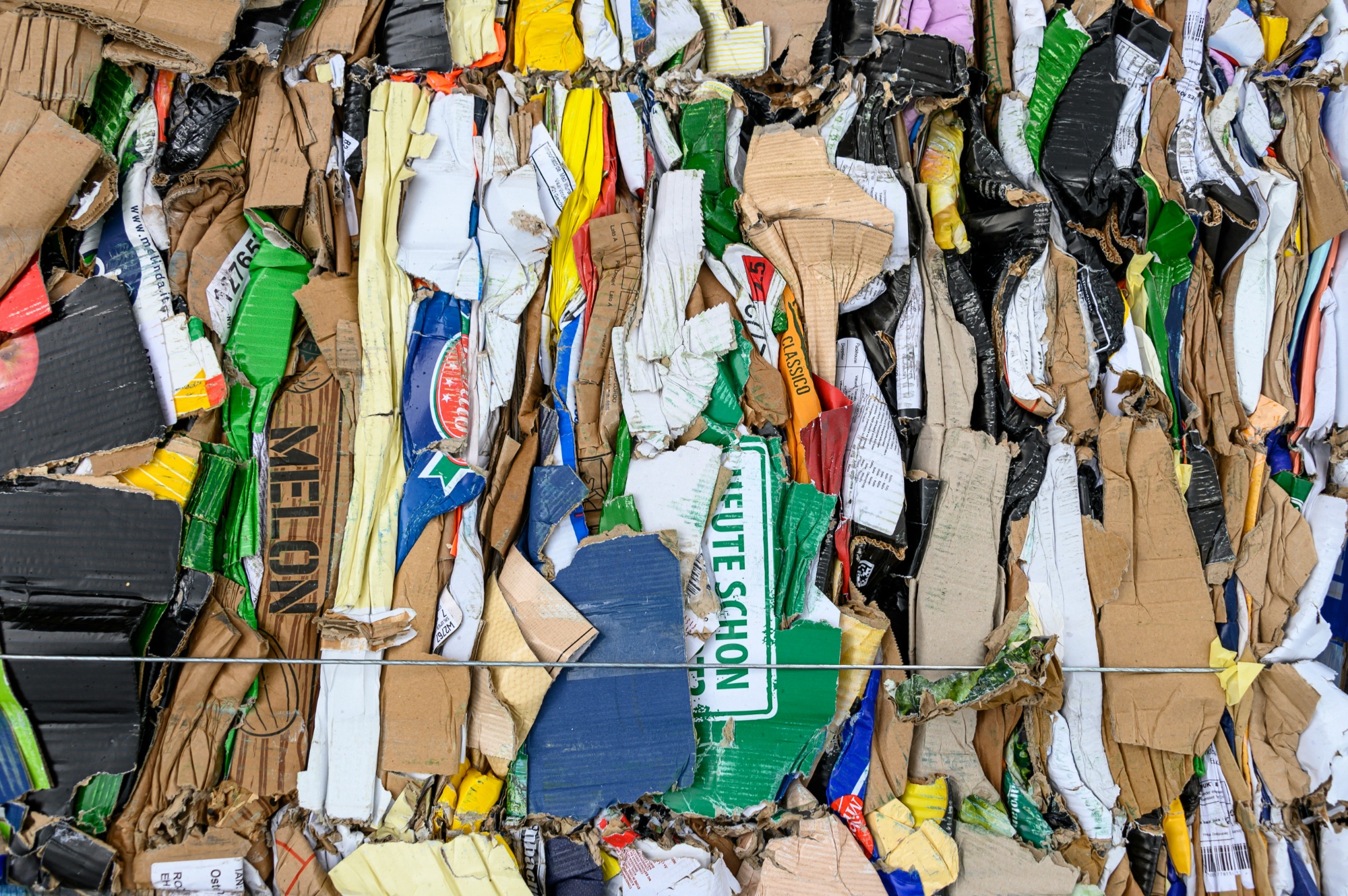 Upcycling Workshop – Turn Everyday Waste into Creative Treasures